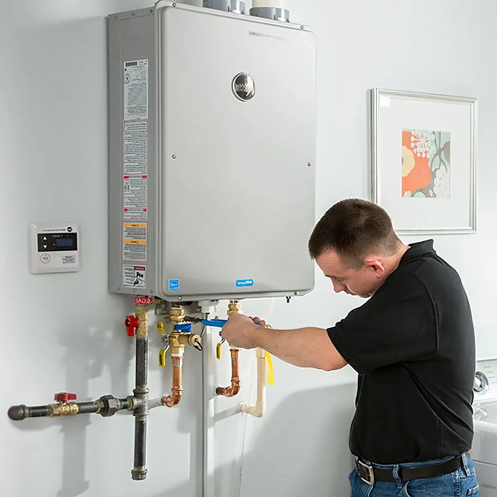 tankless water heater repair in Holgate, OH